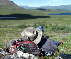 Gates of the Arctic National Park