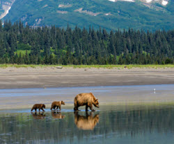 Lake Clark National Park