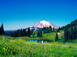 Mount Rainier