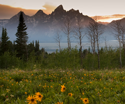 Teton Crest Trail