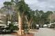 Photo: Calypso Cove RV Park