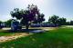 Photo: Gilmore Heritage RV Park