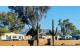 Photo: PIMA SWAN RV PARK