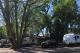 Photo: Pikes Peak RV Park & Campground