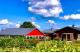 Photo: RV-n The Vines