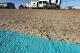 Photo: Holly Beach RV Park