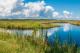 Photo: Wiregrass RV Park