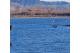 Photo: Fox Lake RV Resort