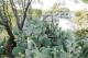 Photo: Crossroads RV Park - Big Spring