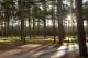 Photo: Broxton Bridge Campgrounds