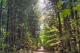 Photo of Double Triangle Ranch Campground