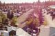 Photo of Alderwood RV Resort