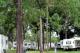 Photo: Winter Garden RV Resort