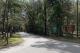 Photo: Buttgenbach Campground at Croom Motorcycle Area
