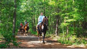 9 Equestrian Campgrounds for Horseback Riding
