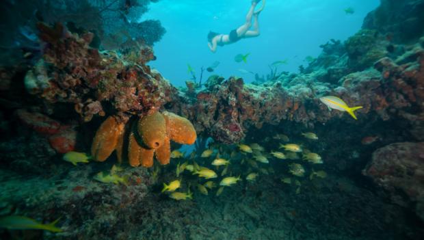 underwater adventures await when you camp near Key West
