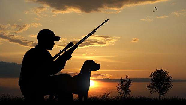 How to get a hunting license