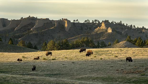 Fort Robinson State Park