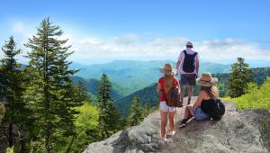 Top 10 Family-Friendly Hiking Trails in the East