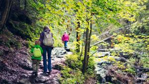 Top 10 Family-Friendly Hiking Trails in the West