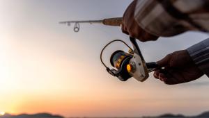 Fresh Catch: Fishing and Hunting Tips for This Thanksgiving