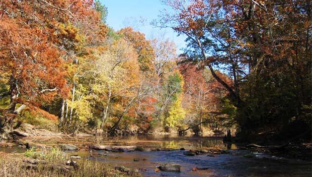 6 Great Mississippi Campgrounds for Fall Color