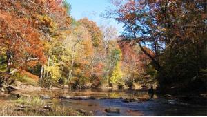 6 Great Mississippi Campgrounds for Fall Color