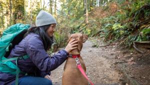 Trail Obedience Skills to Teach Your Dog