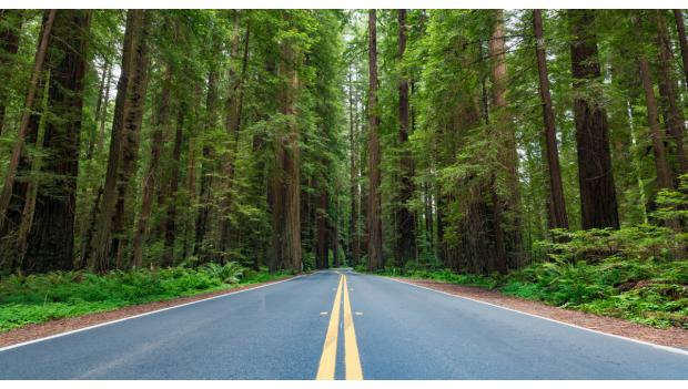 Humboldt Redwoods State Park Avenue of Giants Weekend Getaway