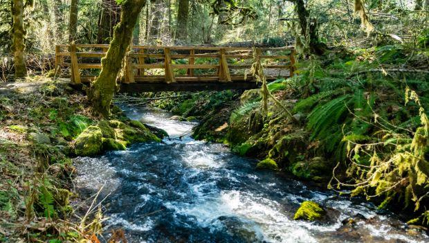 Cascadia State Park Oregon