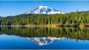 Top 10 Experiences at Mount Rainier National Park