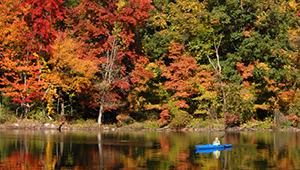 Best New York Campgrounds for Fall Color