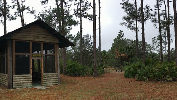 Seminole State Forest Primitive Campsites