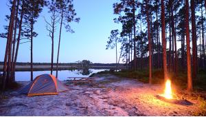 Great Florida State Forest Getaways