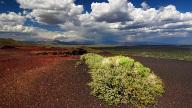 Best wildflower spring hikes Idaho