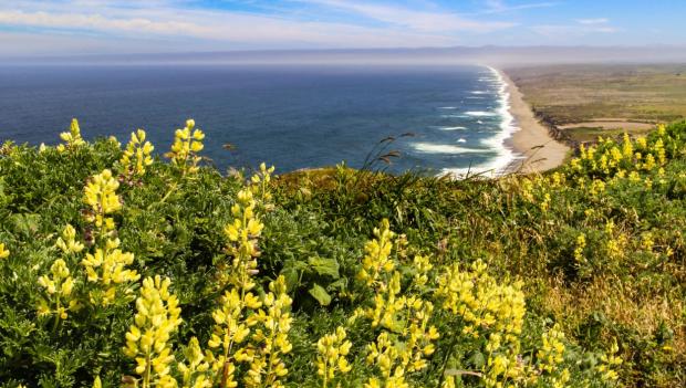 Best spring hikes wildflowers USA