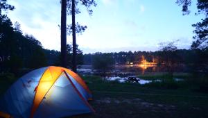 Cool Camping Trips at Florida State Forests