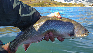 The Best Fishing Spots in Idaho