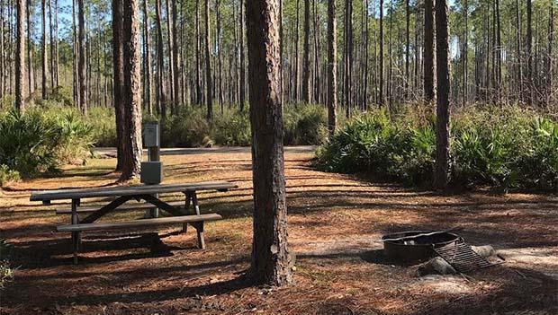 Womack Creek Campground