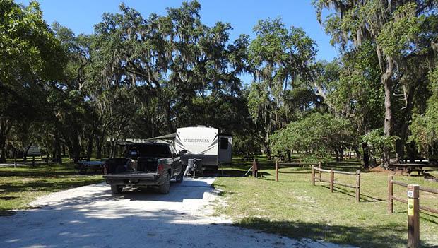 Withlacoochee State Forest