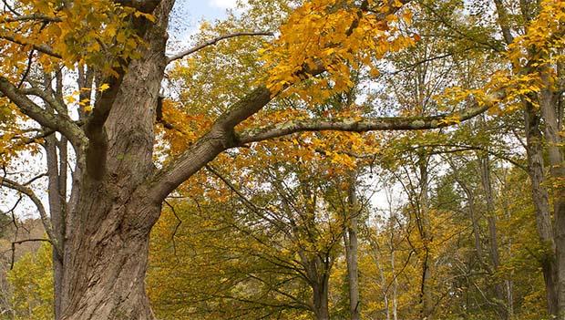Fall Colors at Kooser State Park