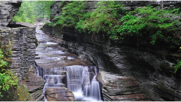 Dare to Go Into the Gorge at Robert H. Treman State Park