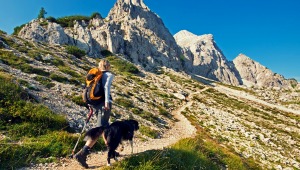 9 Tips For Hiking With Your Dog