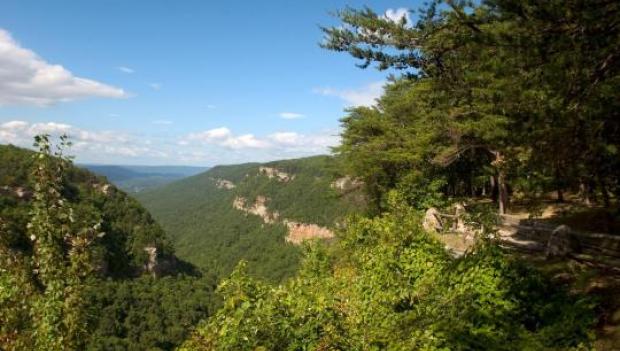 Cloudland Canyon State Park