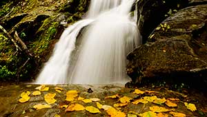 5 Breathtaking Waterfall Hikes in Shenandoah National Park