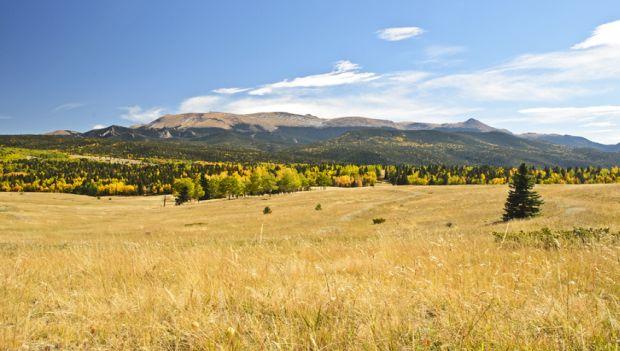 Mueller State Park Colorado