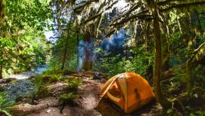 9 Great Campgrounds for Spring Break in the Pacific Northwest