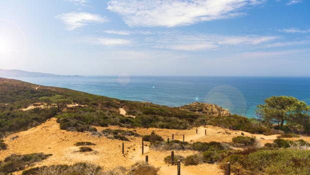 Torrey Pines Nature Reserve San Diego Road Trip Itinerary