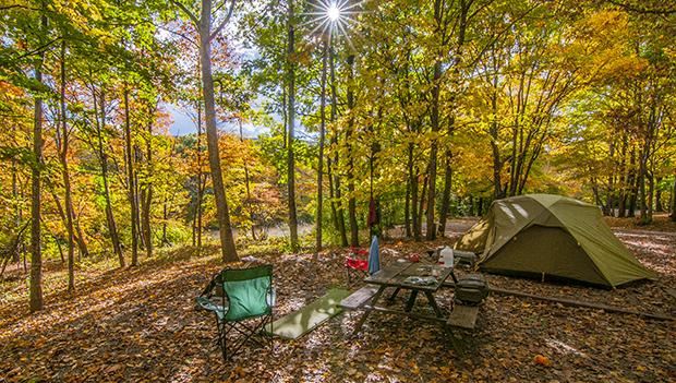Best Camping Destinations for Fall Foliage