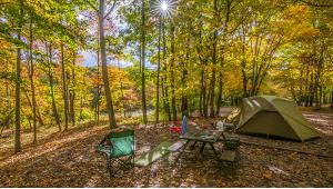 5 Best Camping Destinations for Fall Foliage